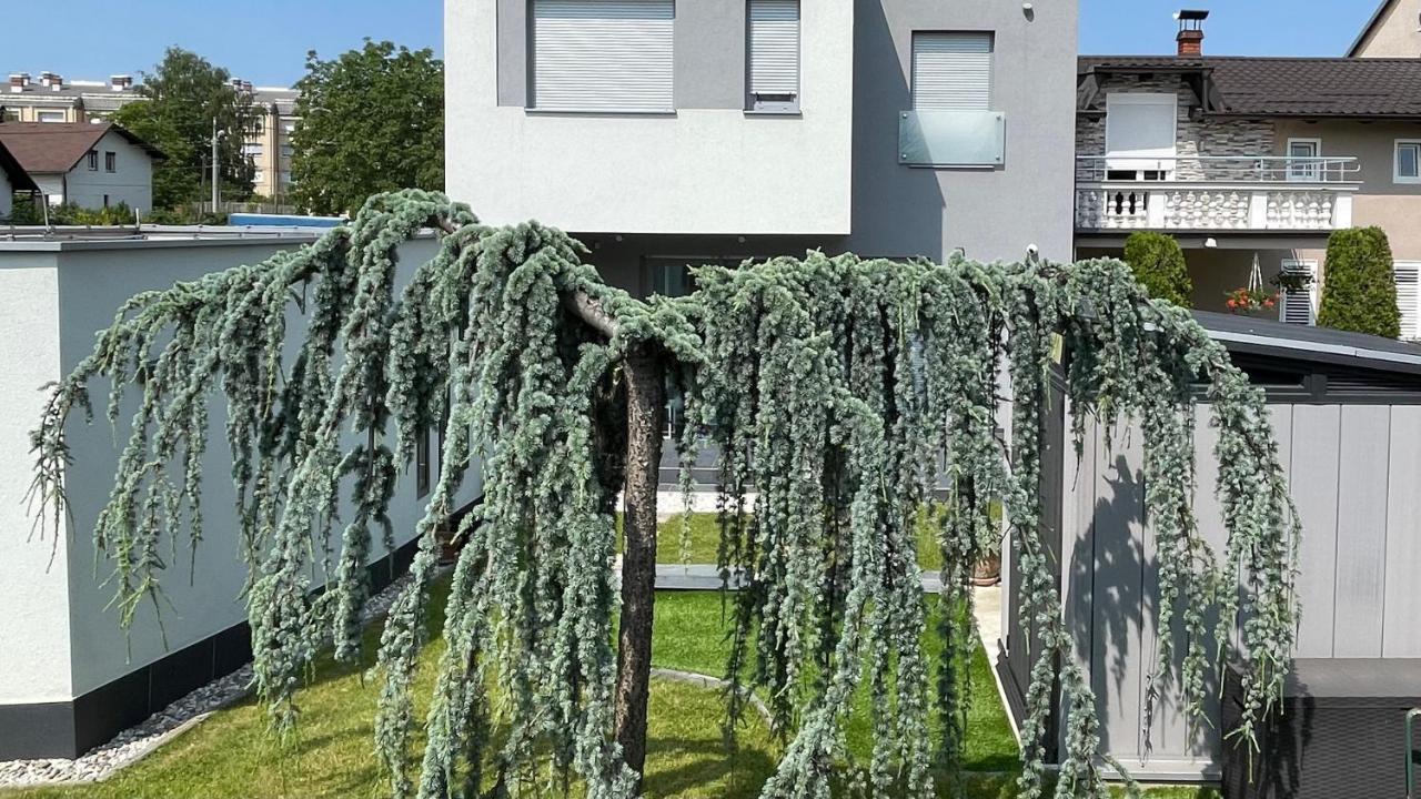 Villa Mami Zagrzeb Zewnętrze zdjęcie